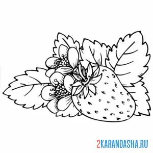 Раскраска клубника на земле