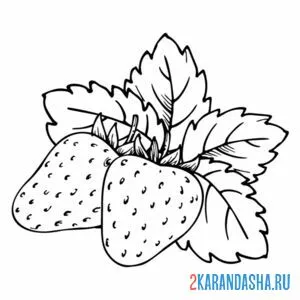 Раскраска клубника лист