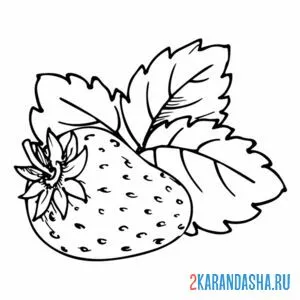 Раскраска три листочка клубники