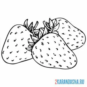 Раскраска клубника без листьев