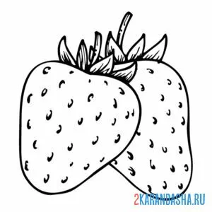 Раскраска клубника чистая