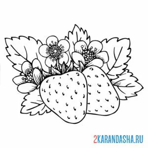 Раскраска две клубники с листьями