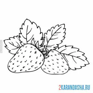 Раскраска клубника в огороде