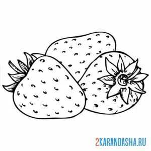 Раскраска сорванная клубника