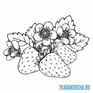 Раскраска летняя клубника