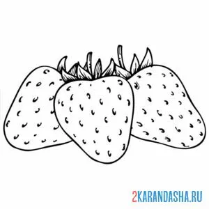 Раскраска клубника мытая