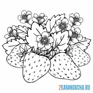 Раскраска много клубники