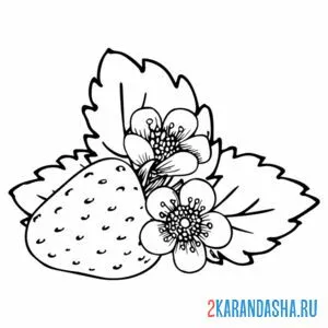 Раскраска аппетитная клубника