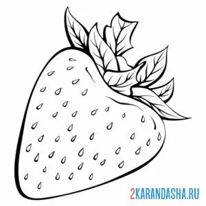 Раскраска рисованная клубника