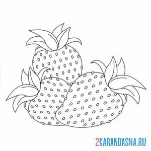 Раскраска клубника для срисовки