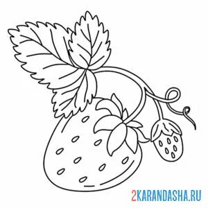 Раскраска клубника маленький кус