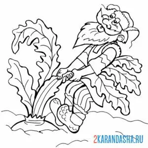 Раскраска дед тянет репку