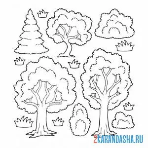 Раскраска много деревьев онлайн