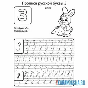 Раскраска пропись буква з прописные