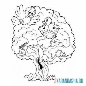 Онлайн раскраска птичка кормит птенца на дереве