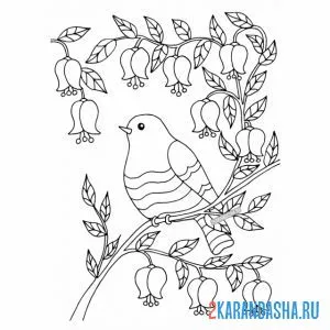 Распечатать раскраску птичка в весеннем лесу на А4