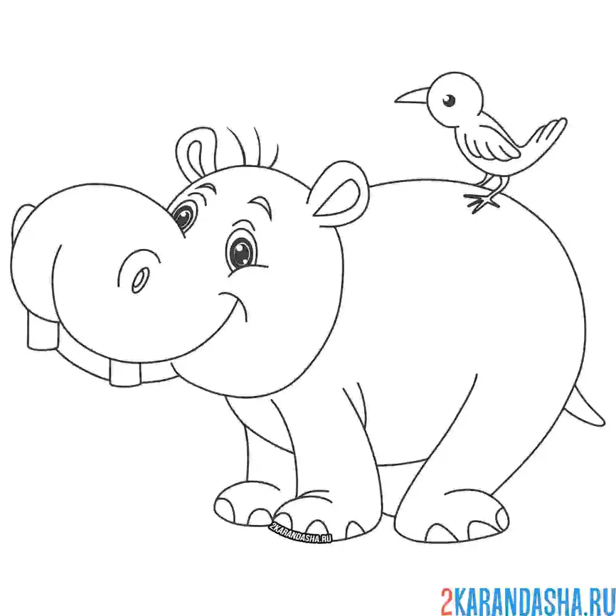 Раскраска веселый бегемотик с птичкой