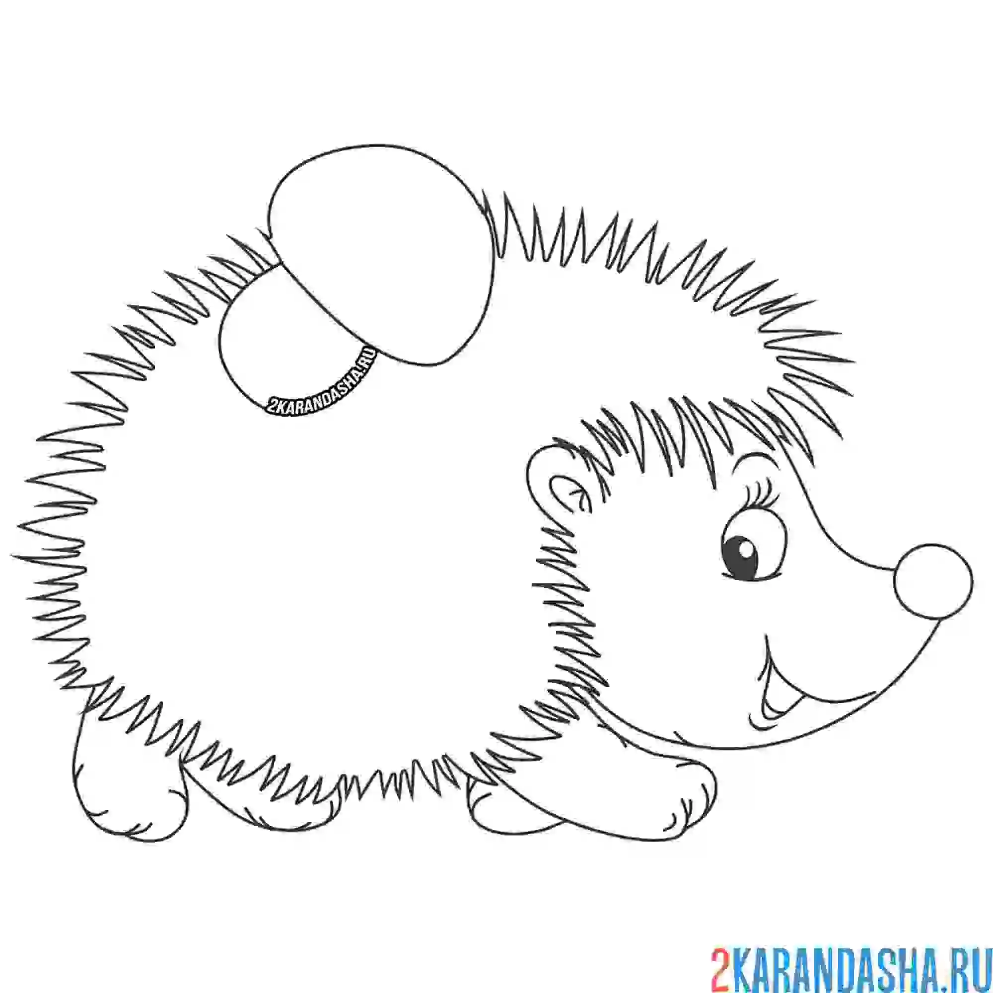 Раскраска ежик несет гриб