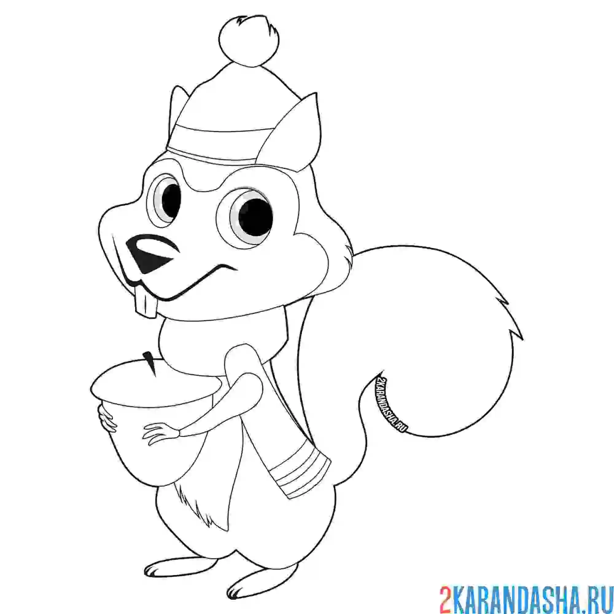 Раскраска белка в шапке и с орехом