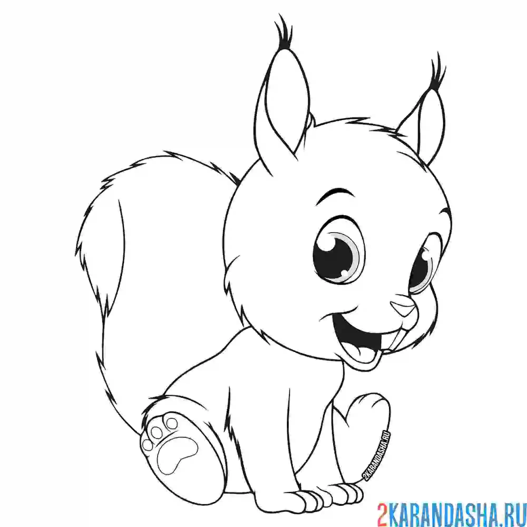 Раскраска милый бельчонок