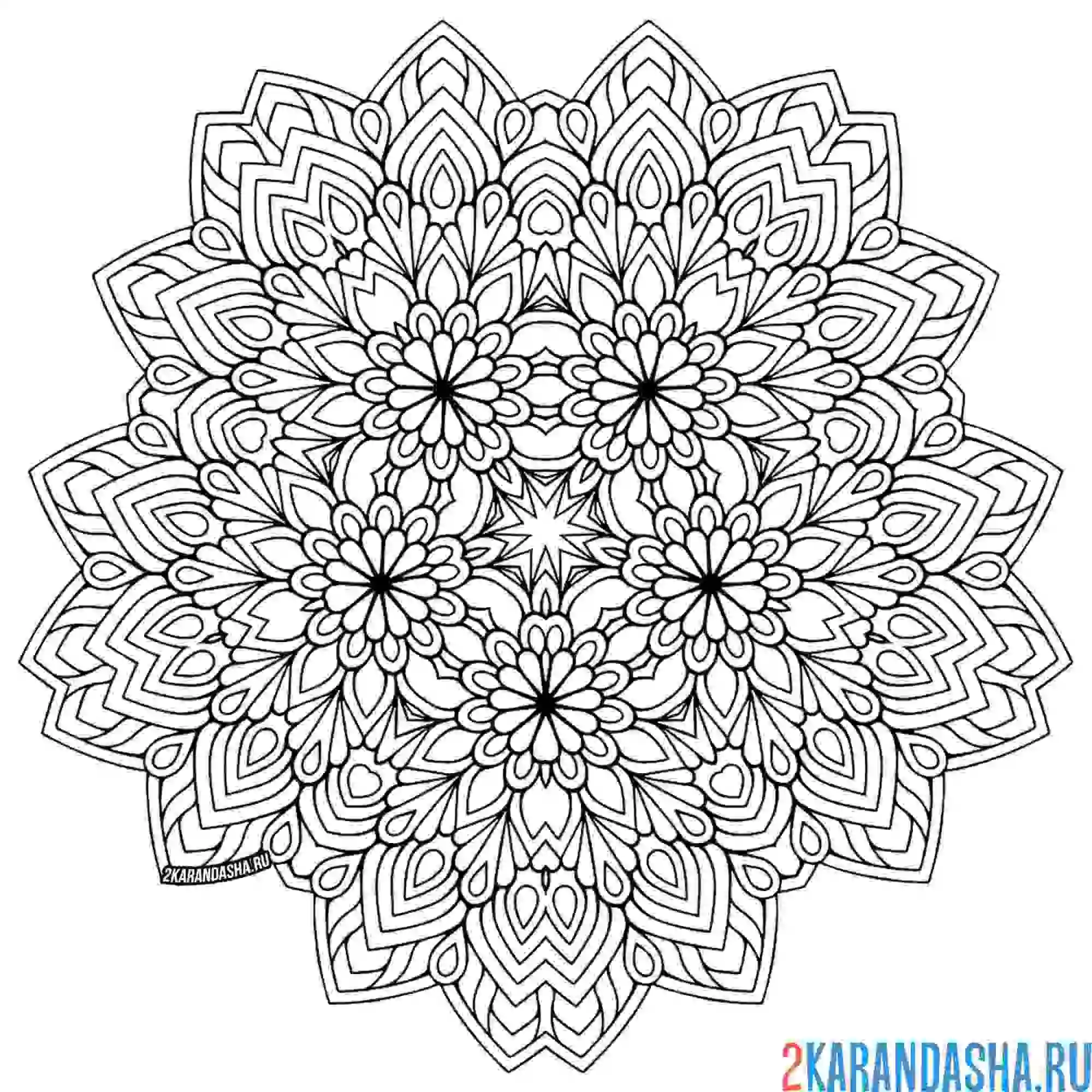 Раскраска мандала процветания