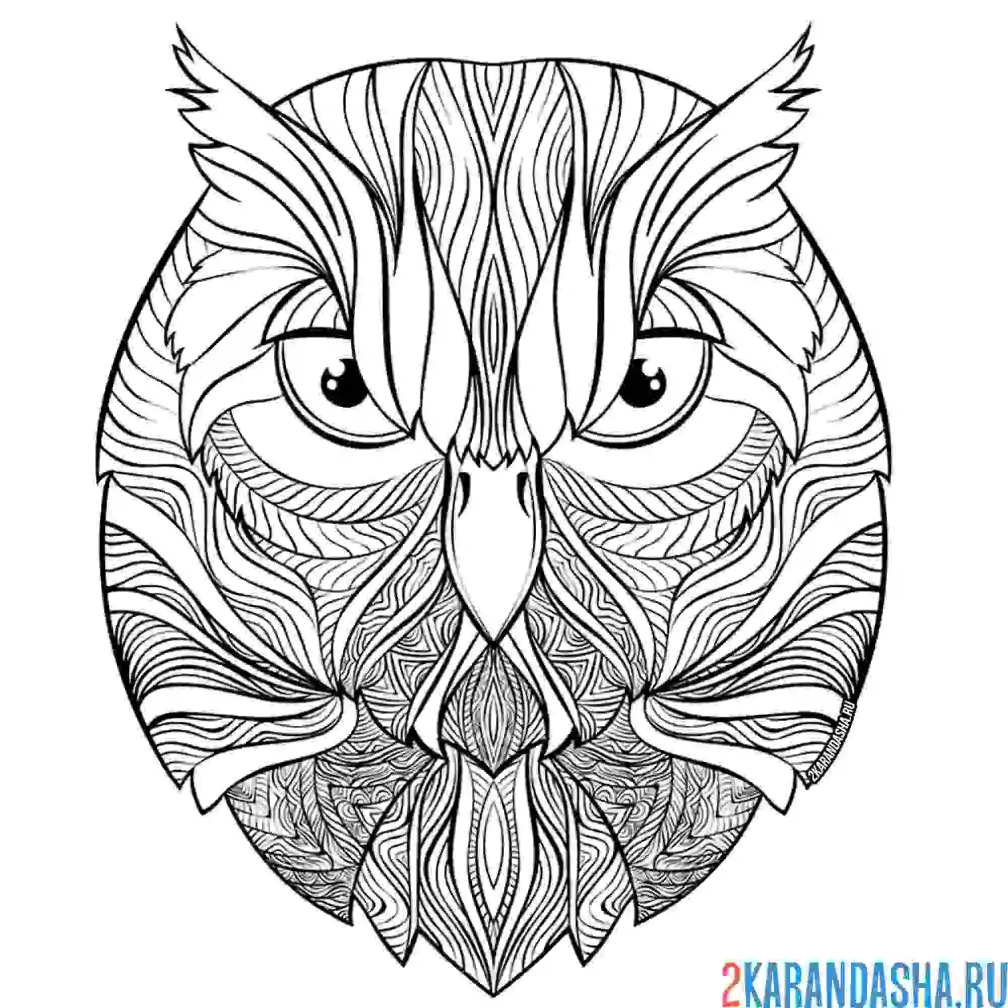 Раскраска голова совы