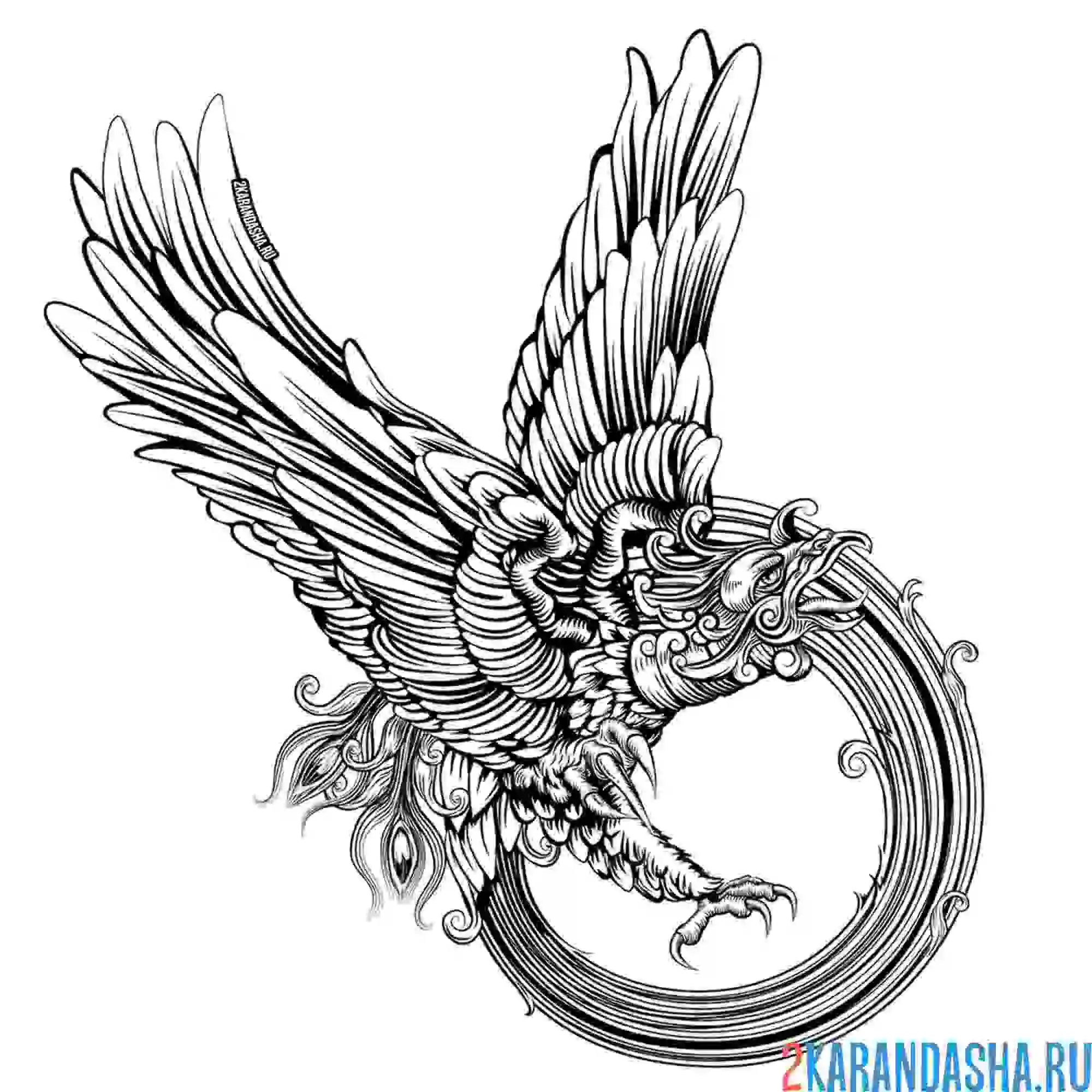 Раскраска птица орел