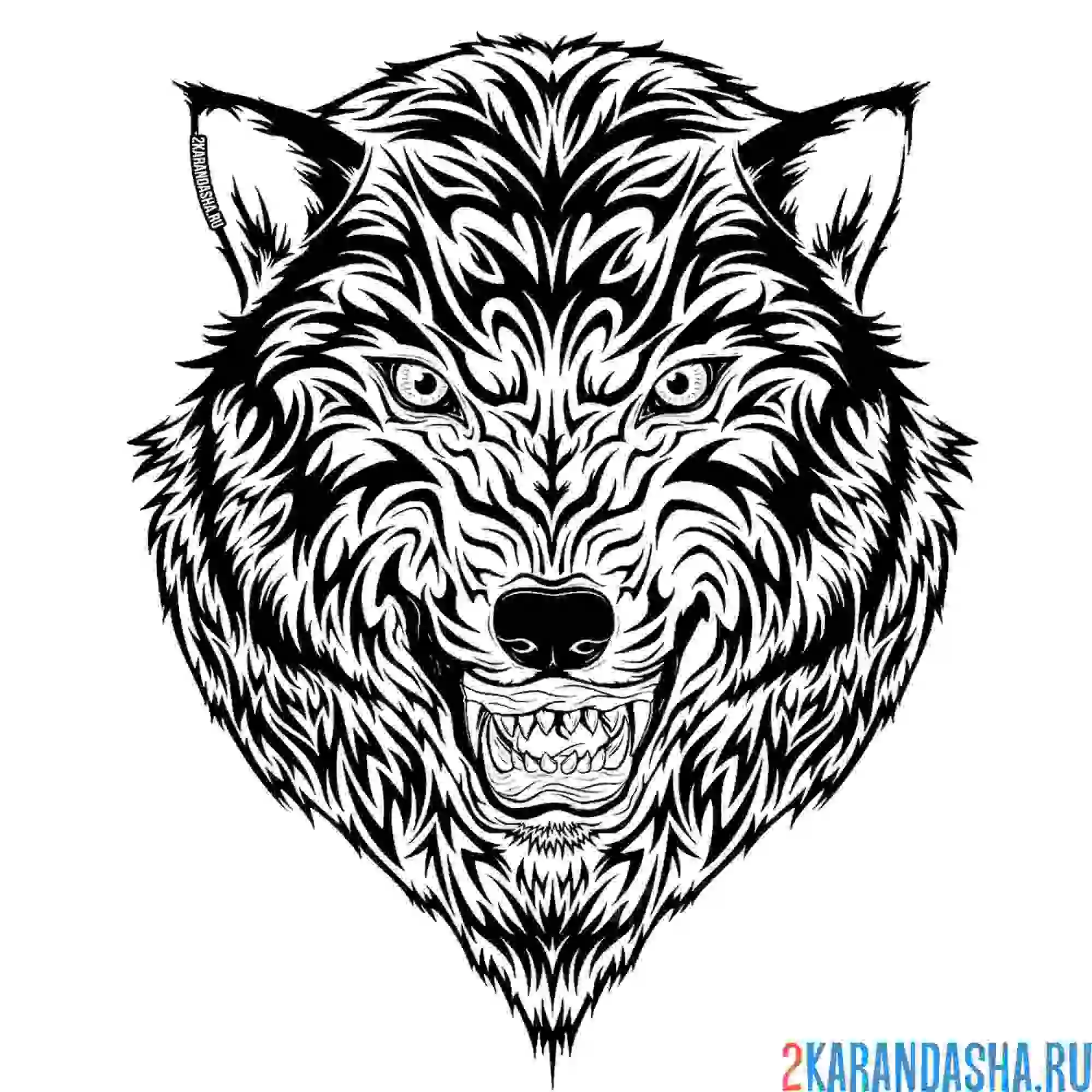 Раскраска голова волка