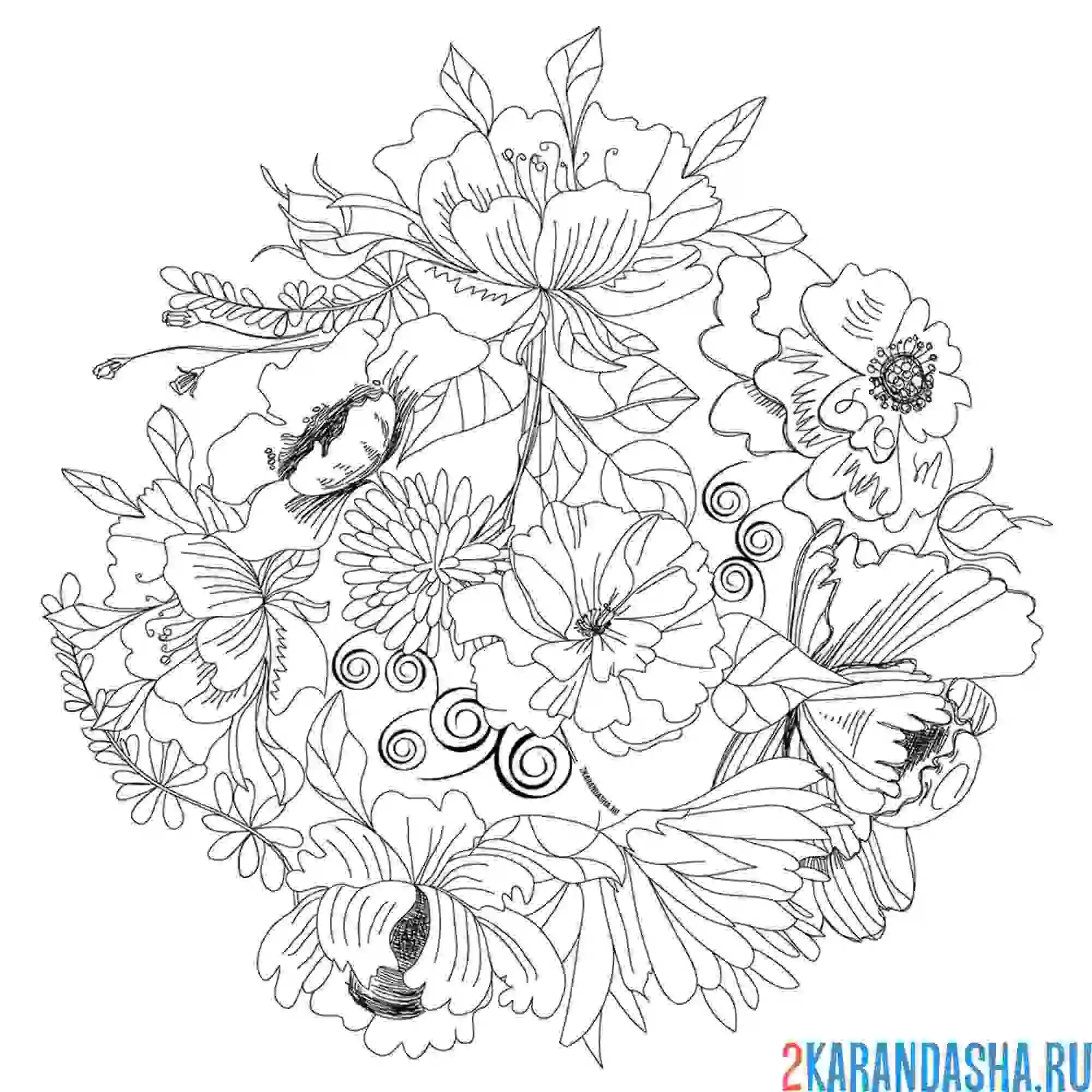 Раскраска цветы