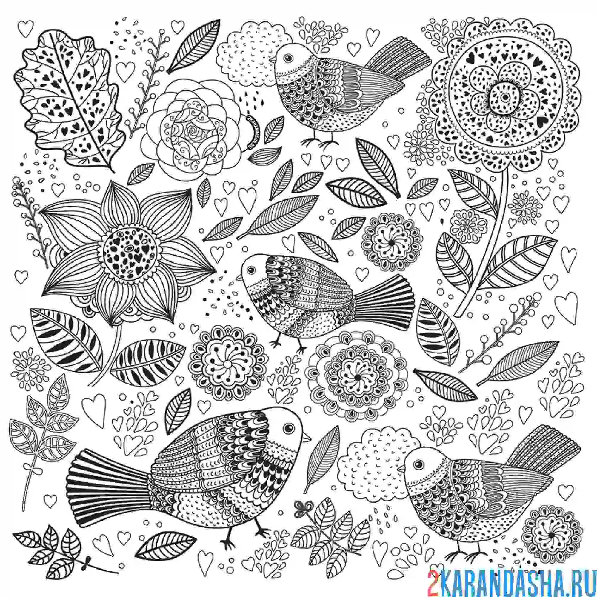 Раскраска птицы и цветы