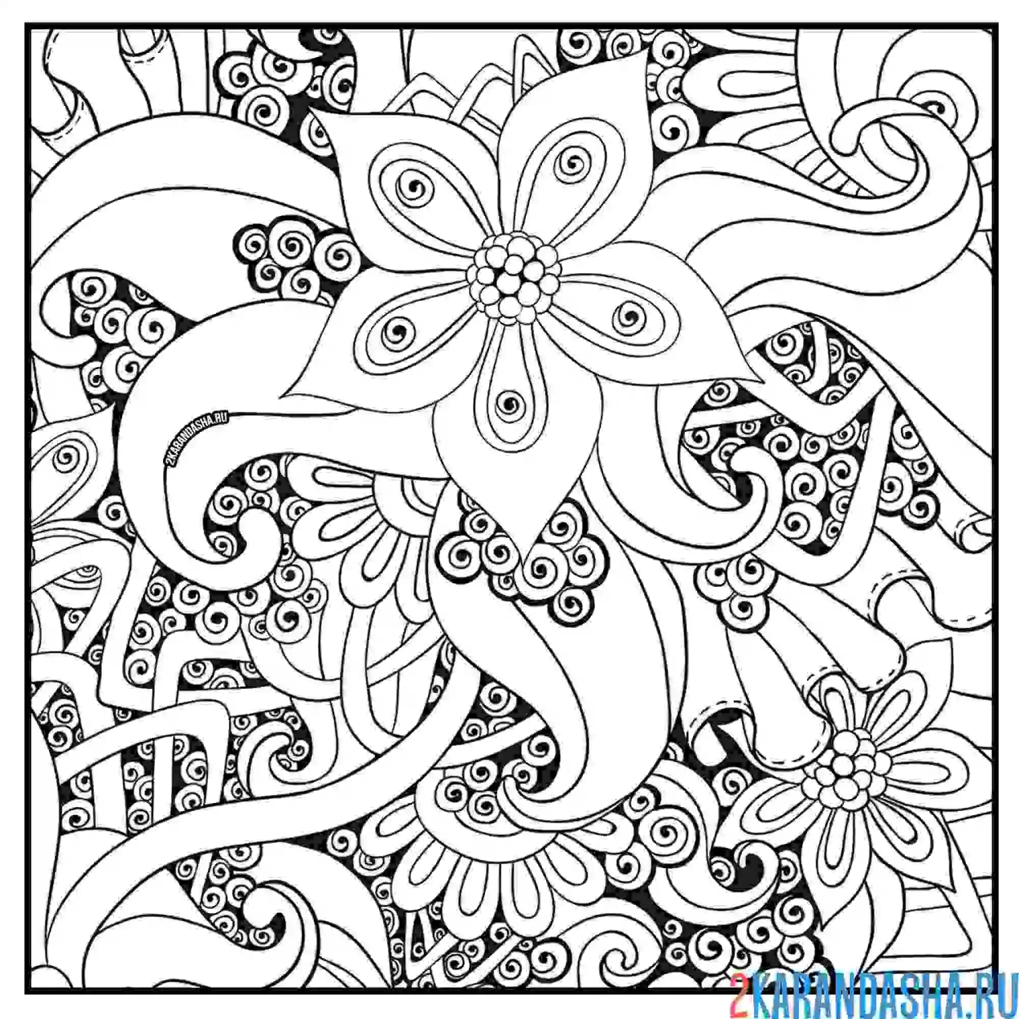 Раскраска цветы узоры