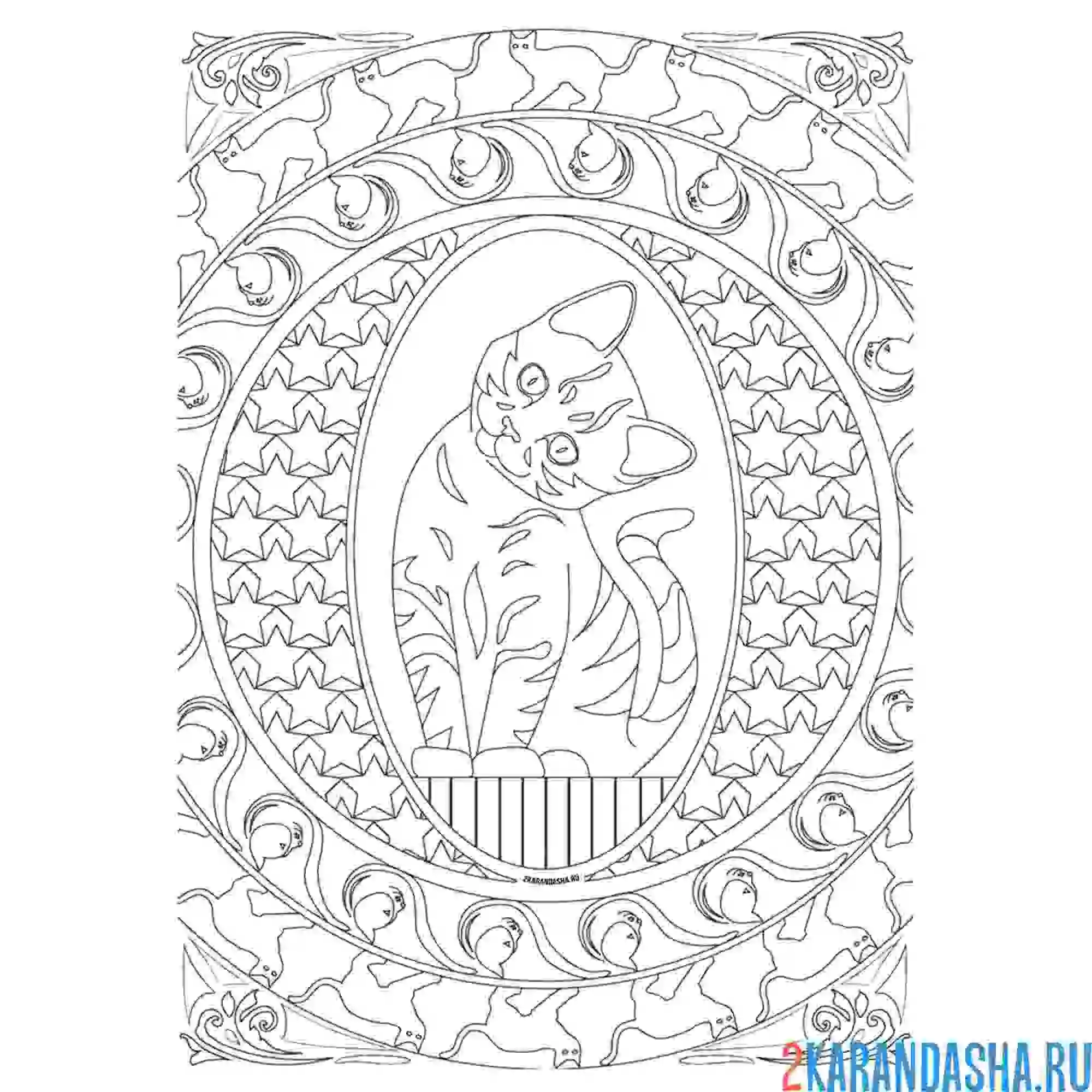 Раскраска кот
