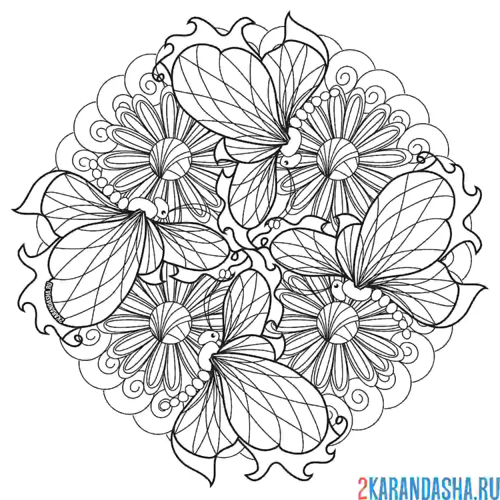 Раскраска цветок мандала