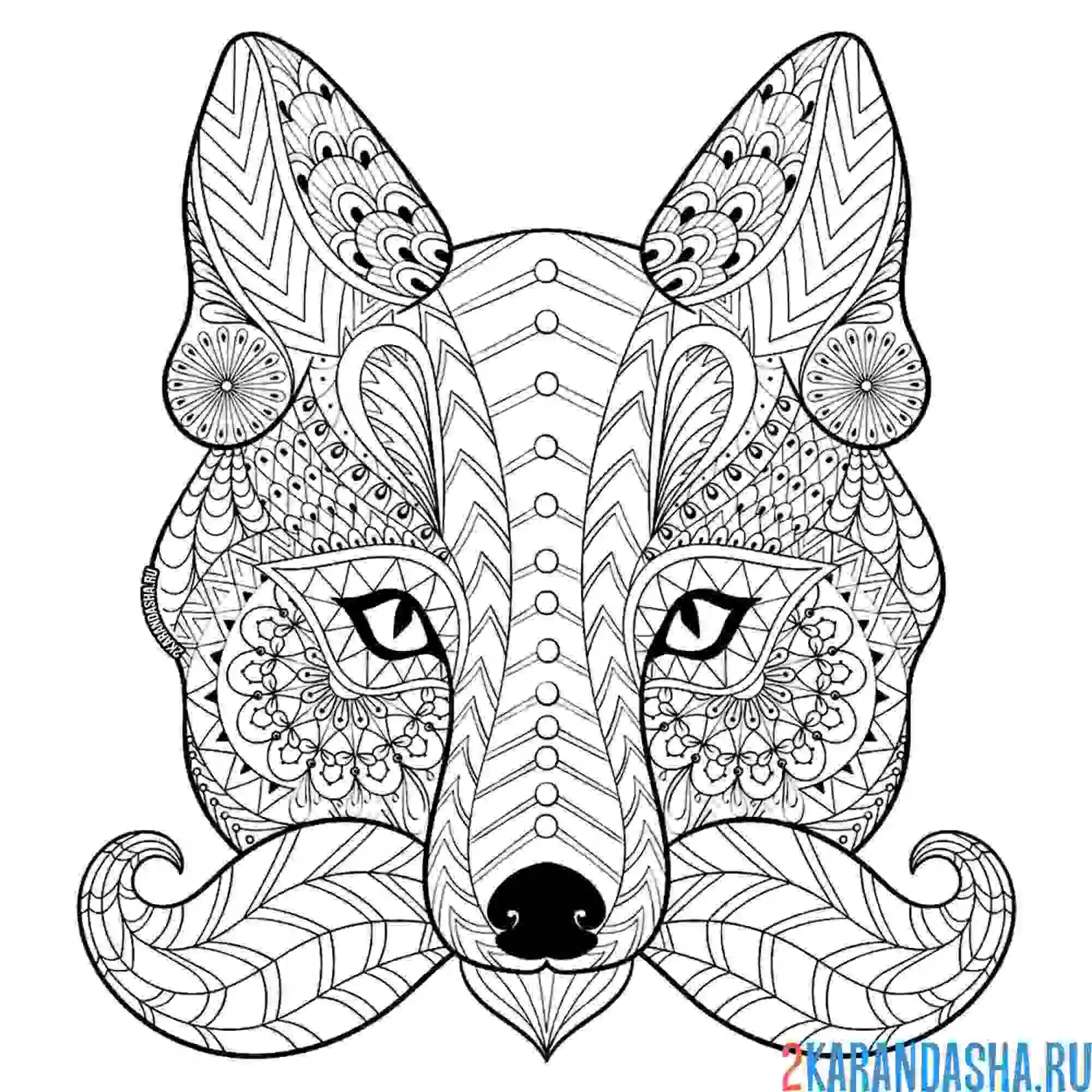 Раскраска лиса