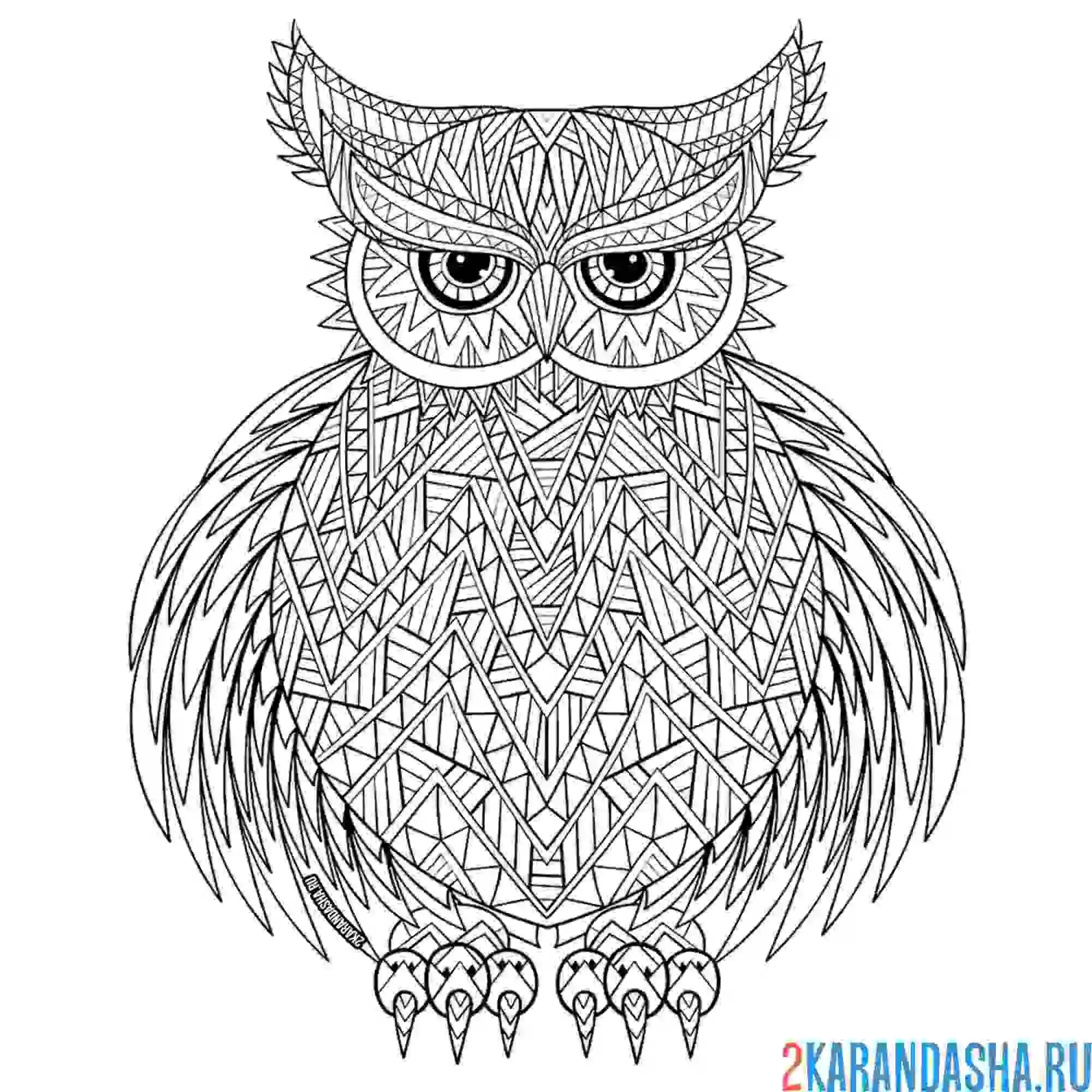 Раскраска сова