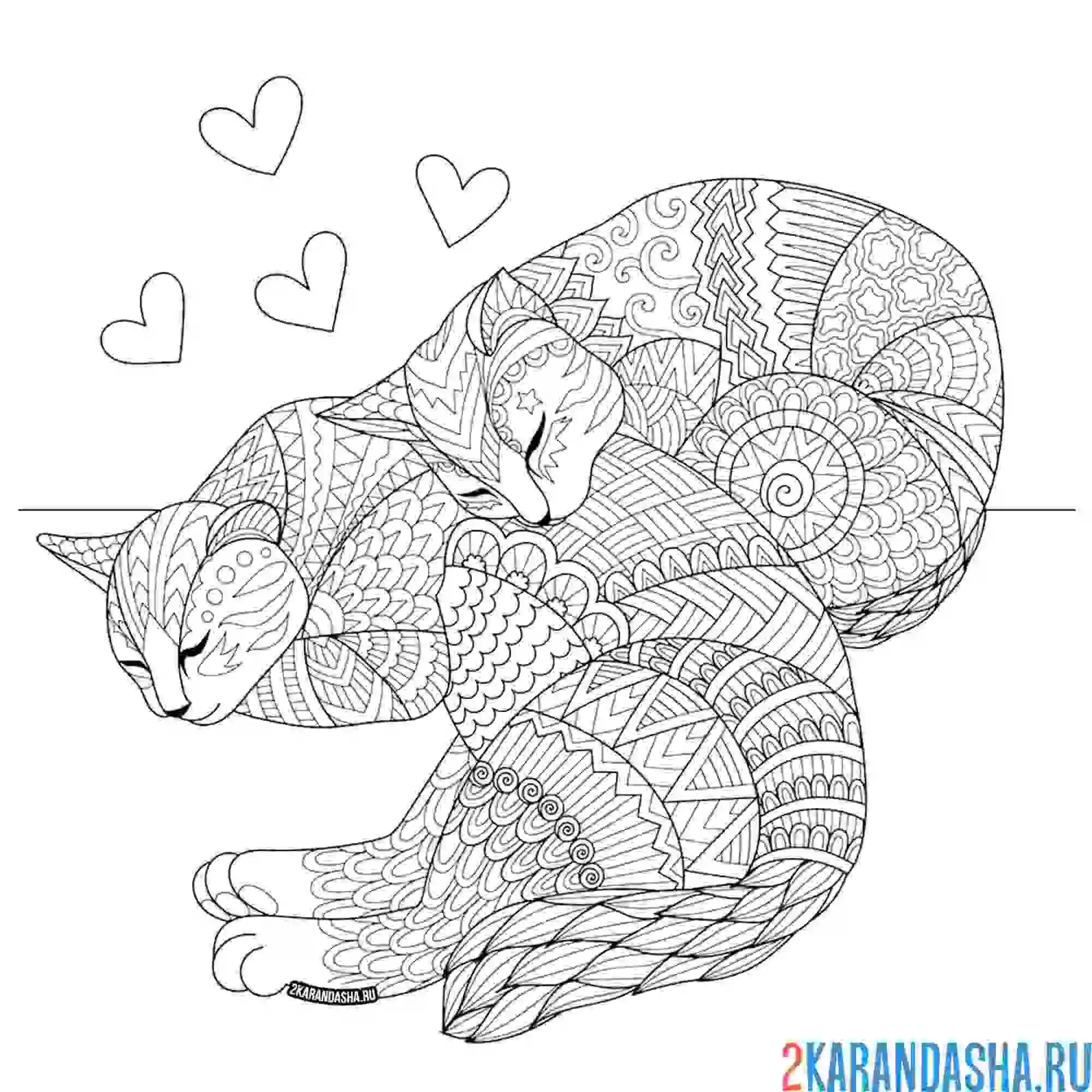 Раскраска кошки