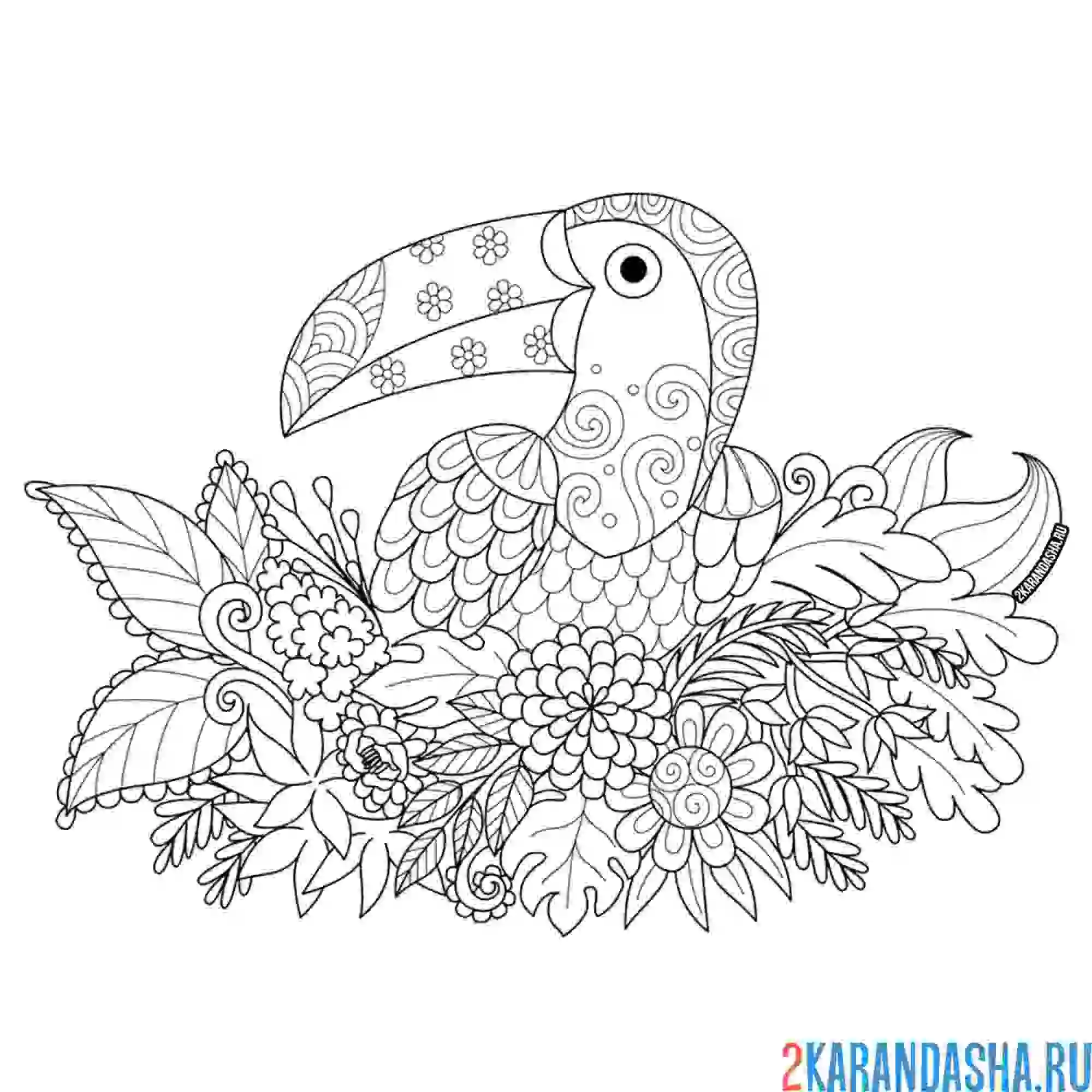 Раскраска птичка