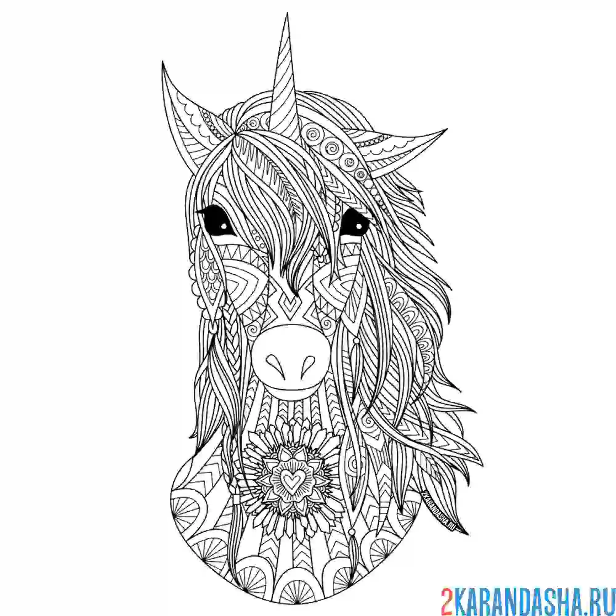 Раскраска красивый единорог