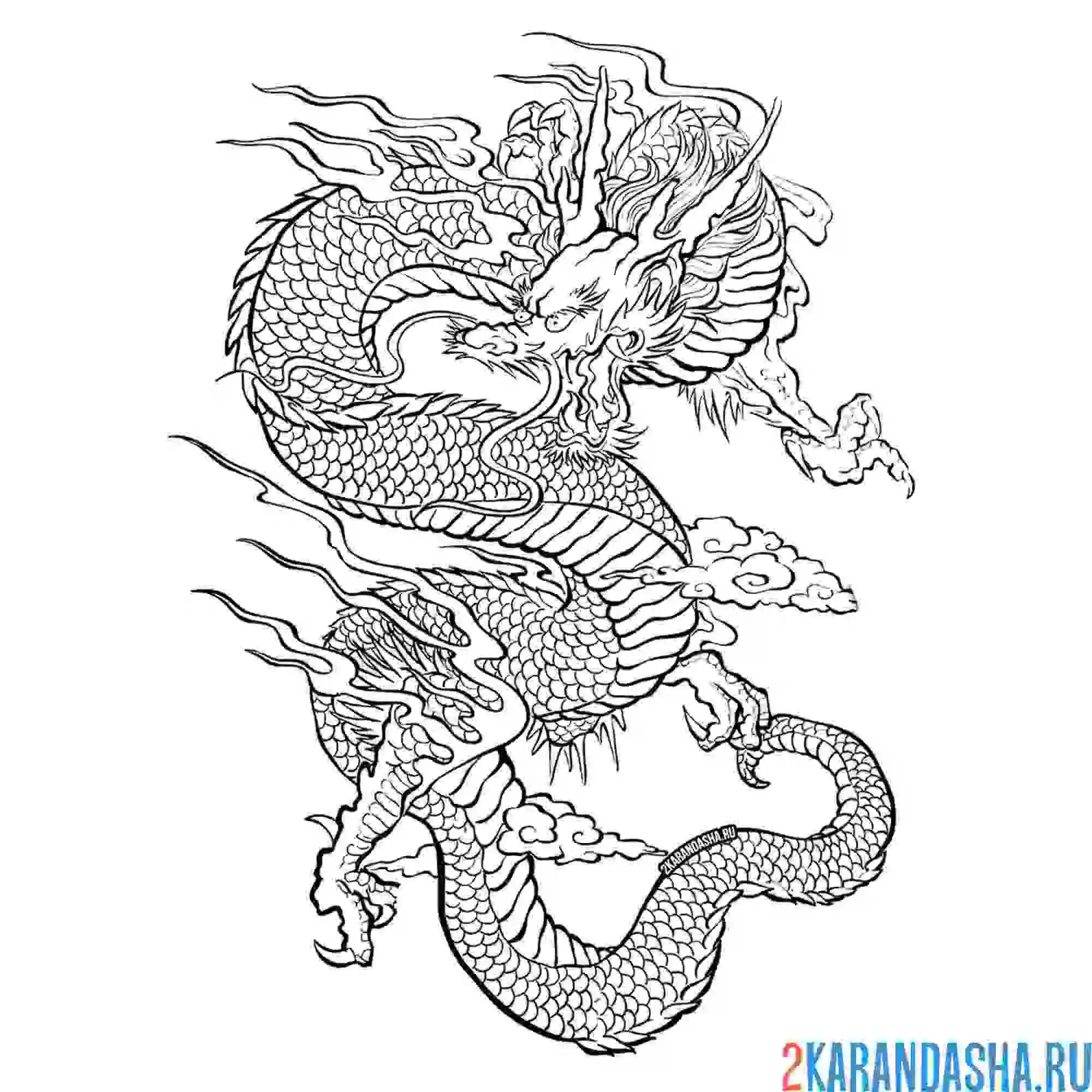 Раскраска дракон