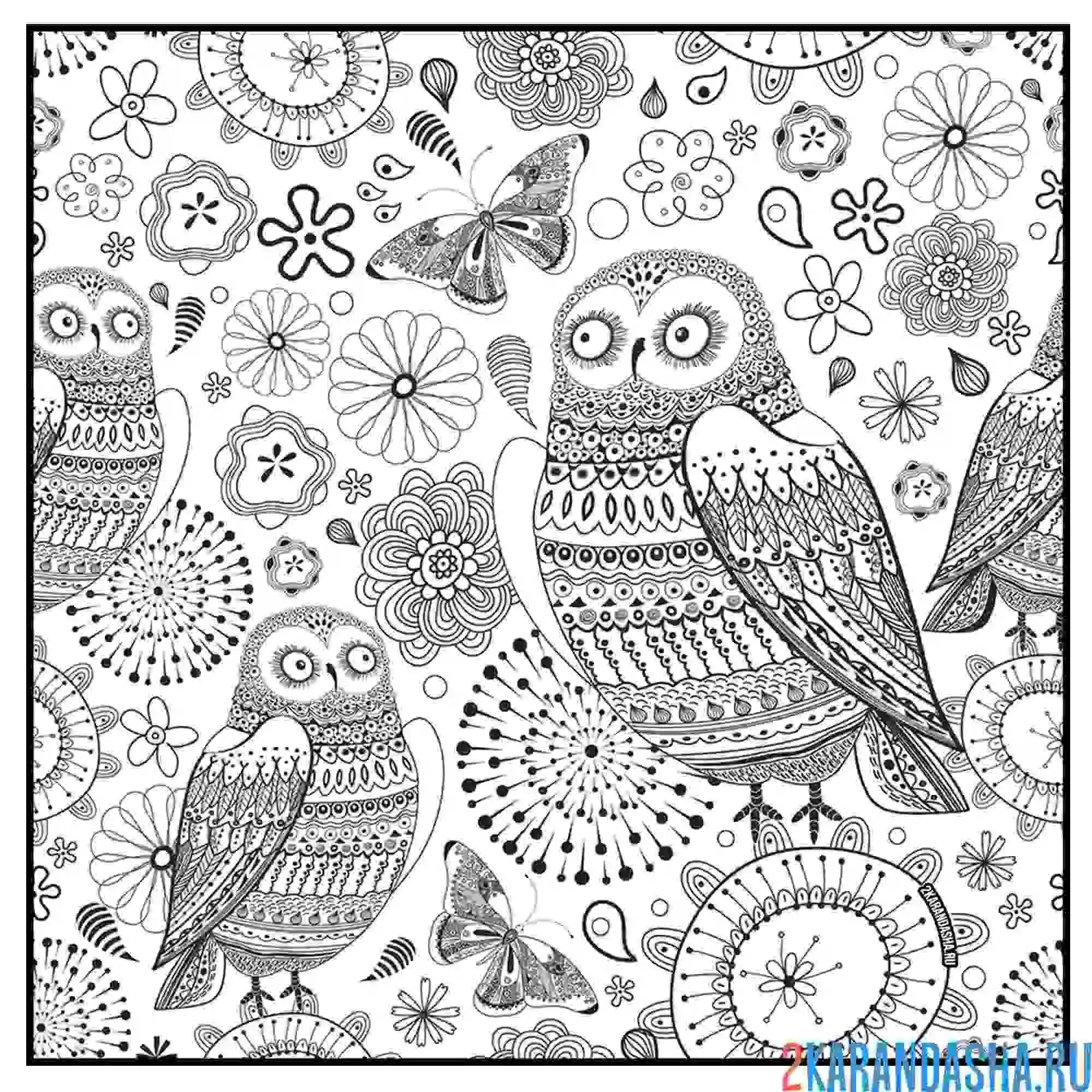 Раскраска птицы совы в узорах