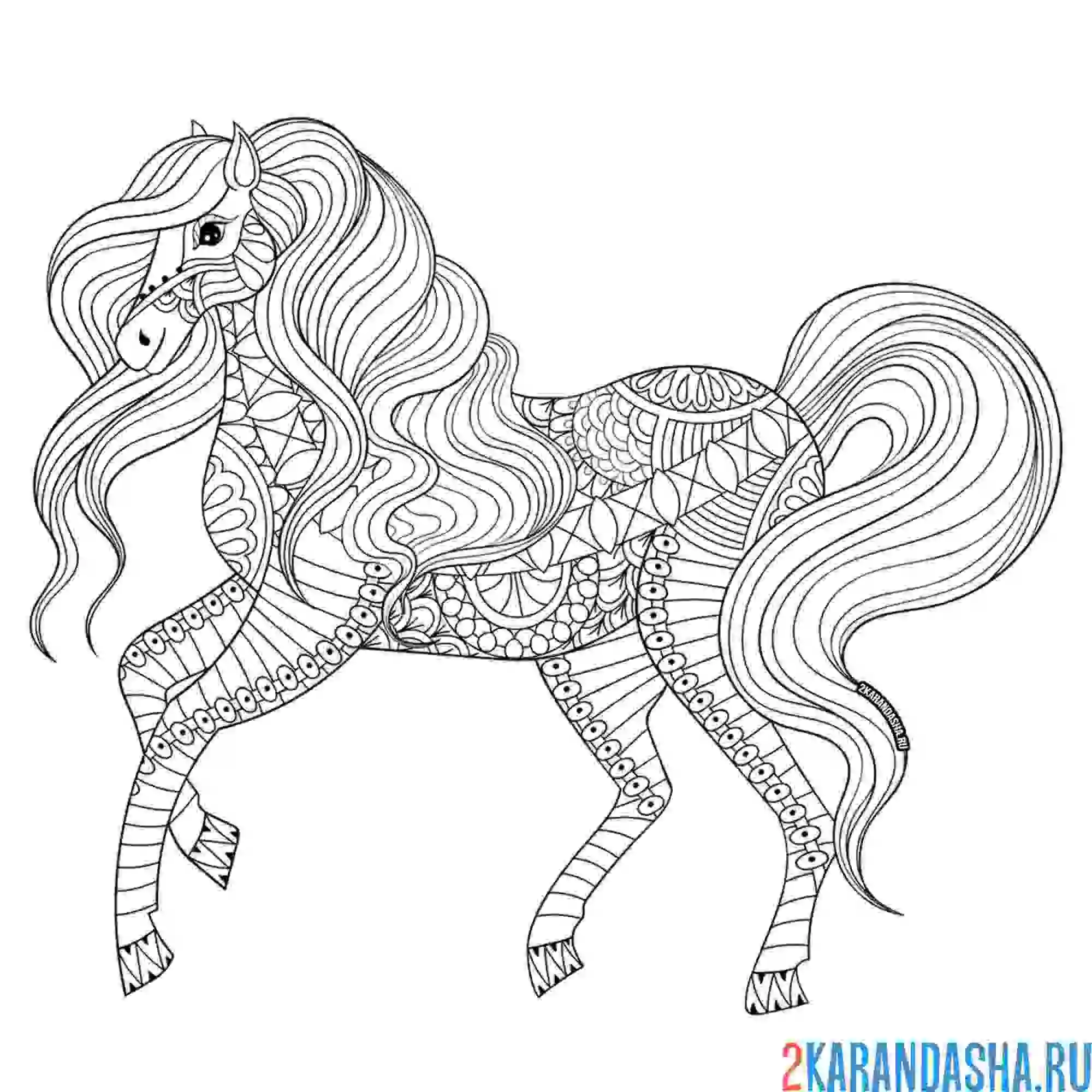 Раскраска красивая лошадь