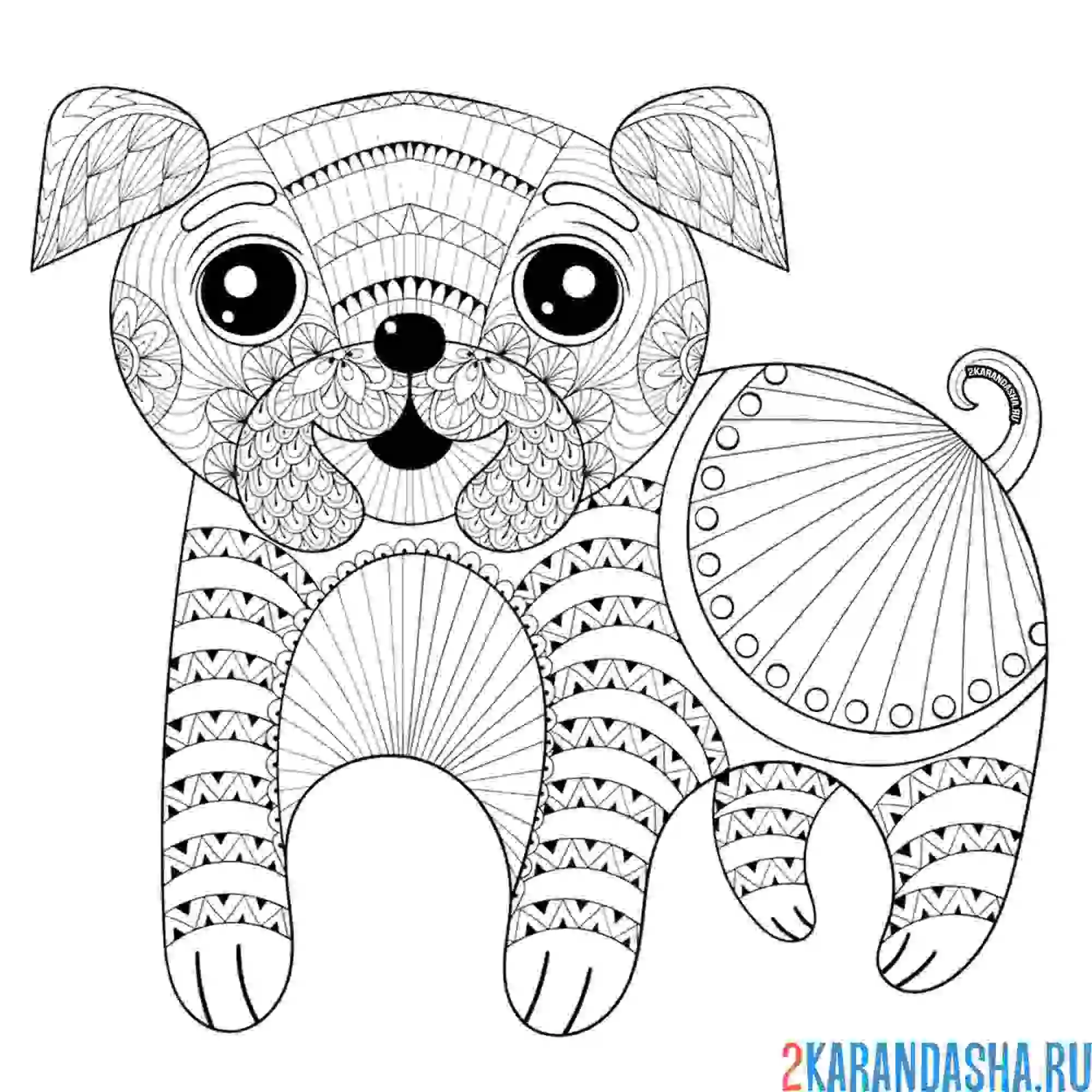 Раскраска собака