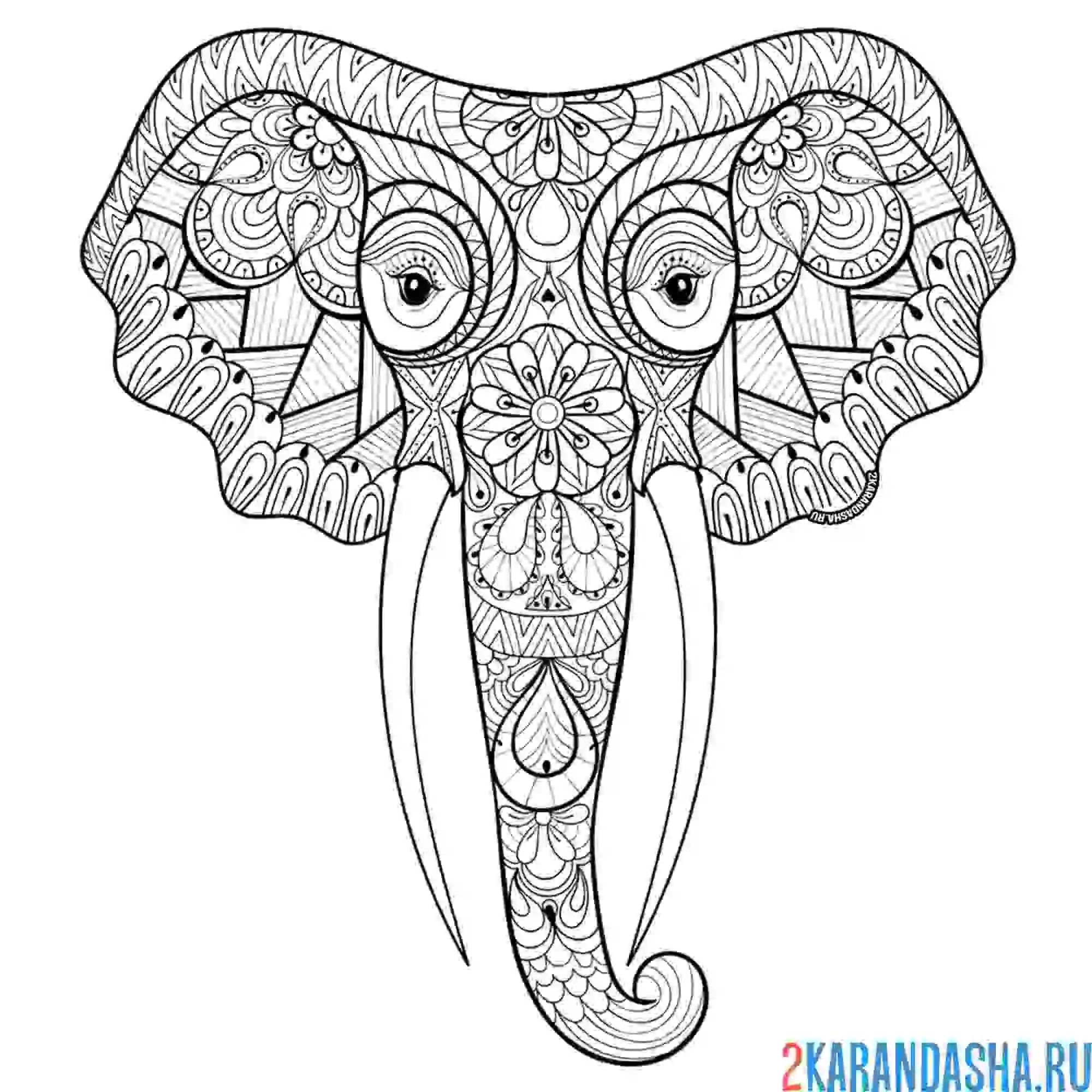 Раскраска голова слона