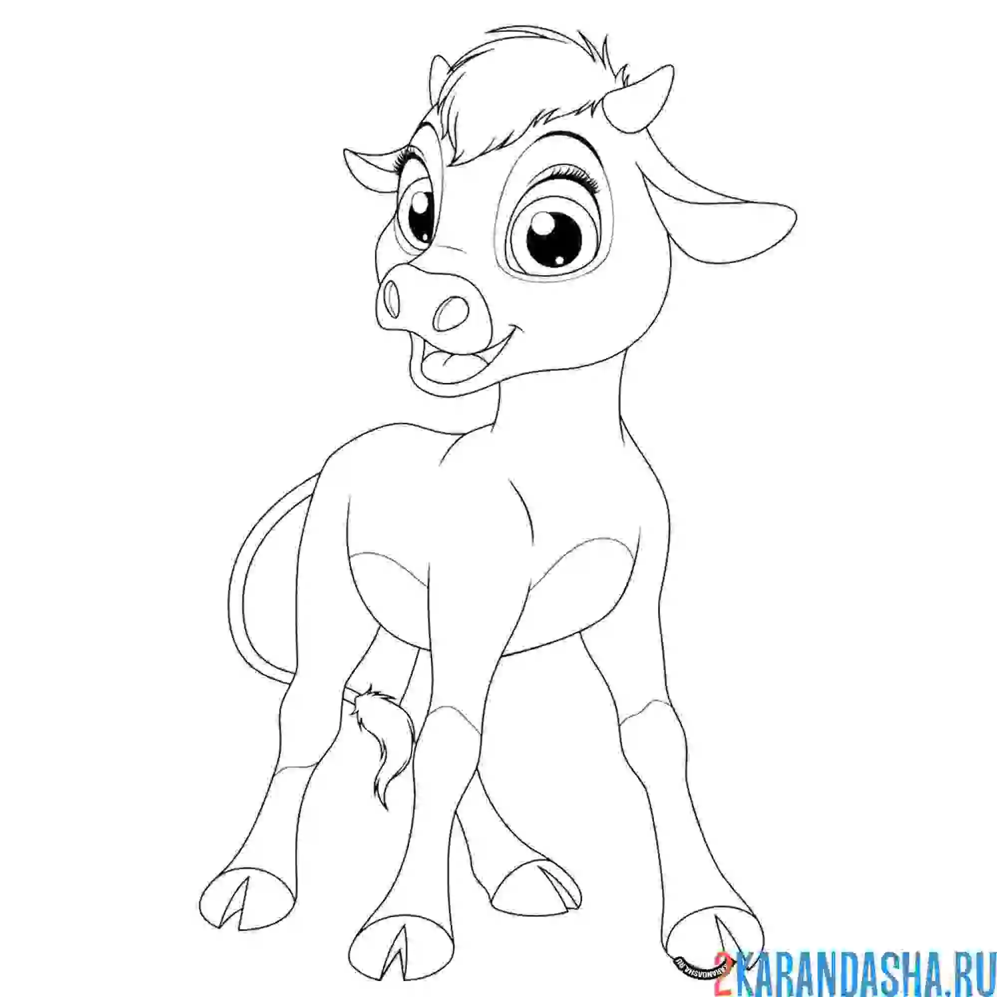 Раскраска милый теленок