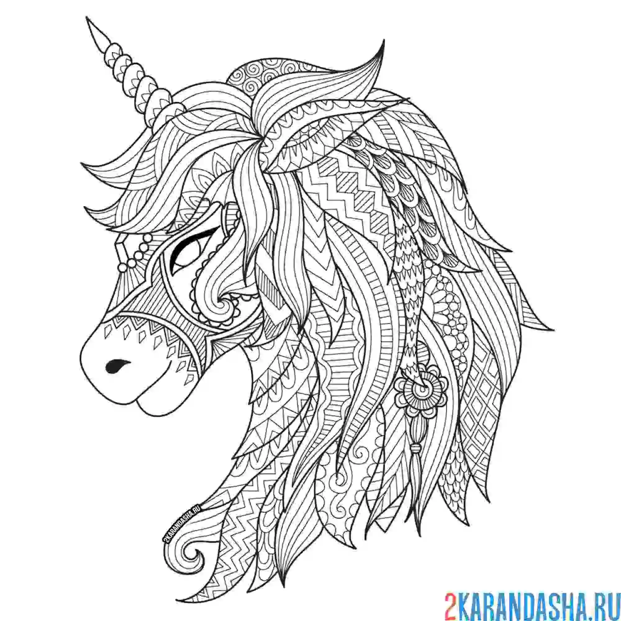 Раскраска единорог