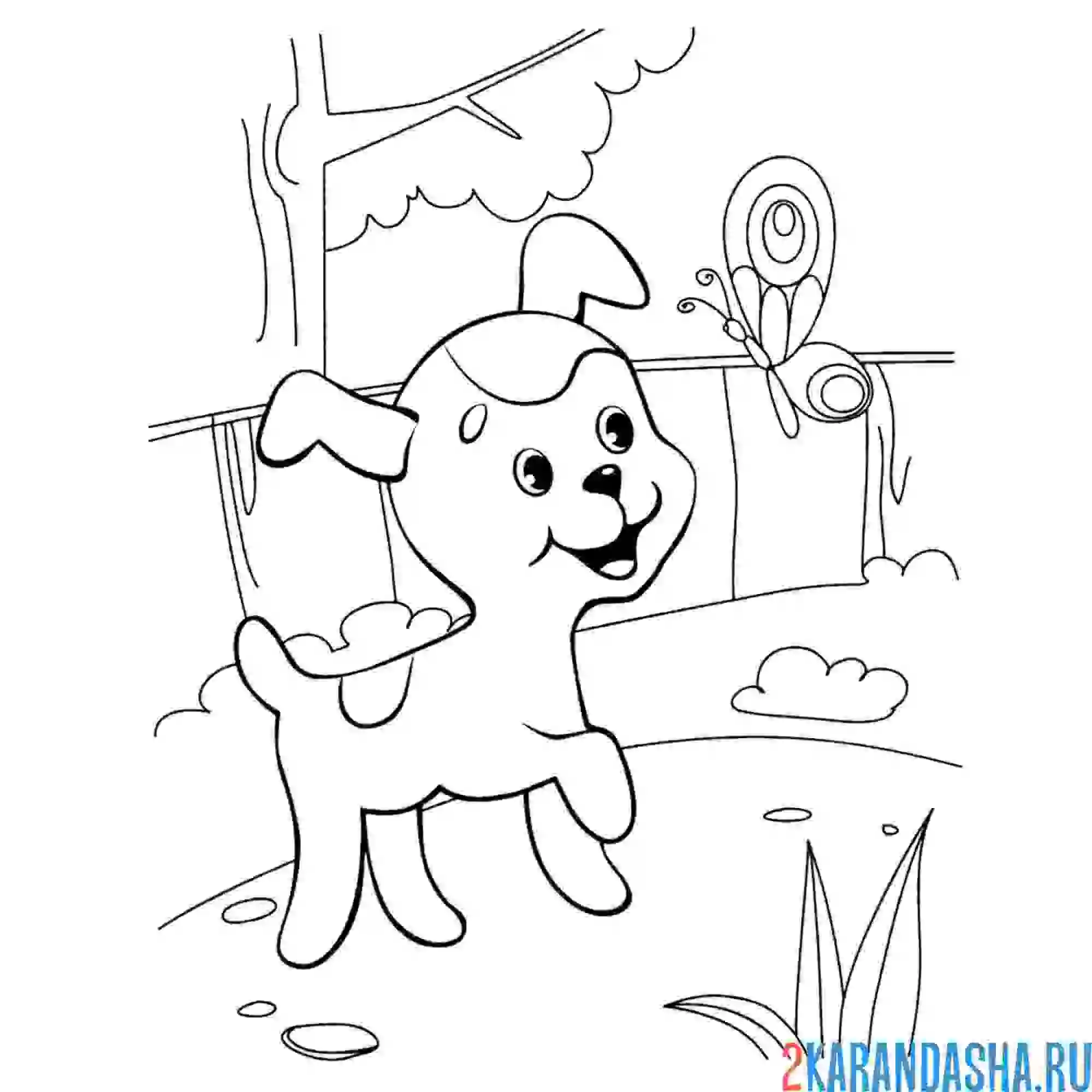 Раскраска щенок шарик бегает за бабочкой (котенок по имени гав)