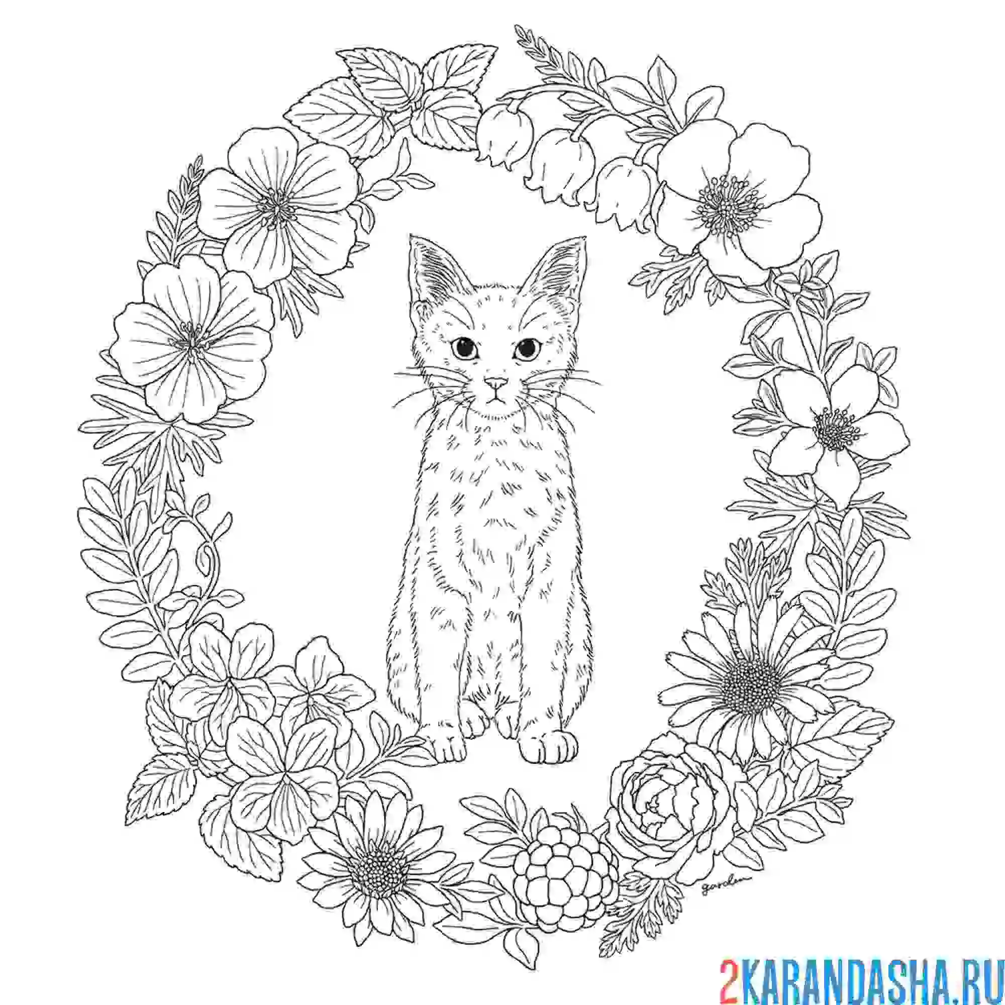 Раскраска кошечка и цветы