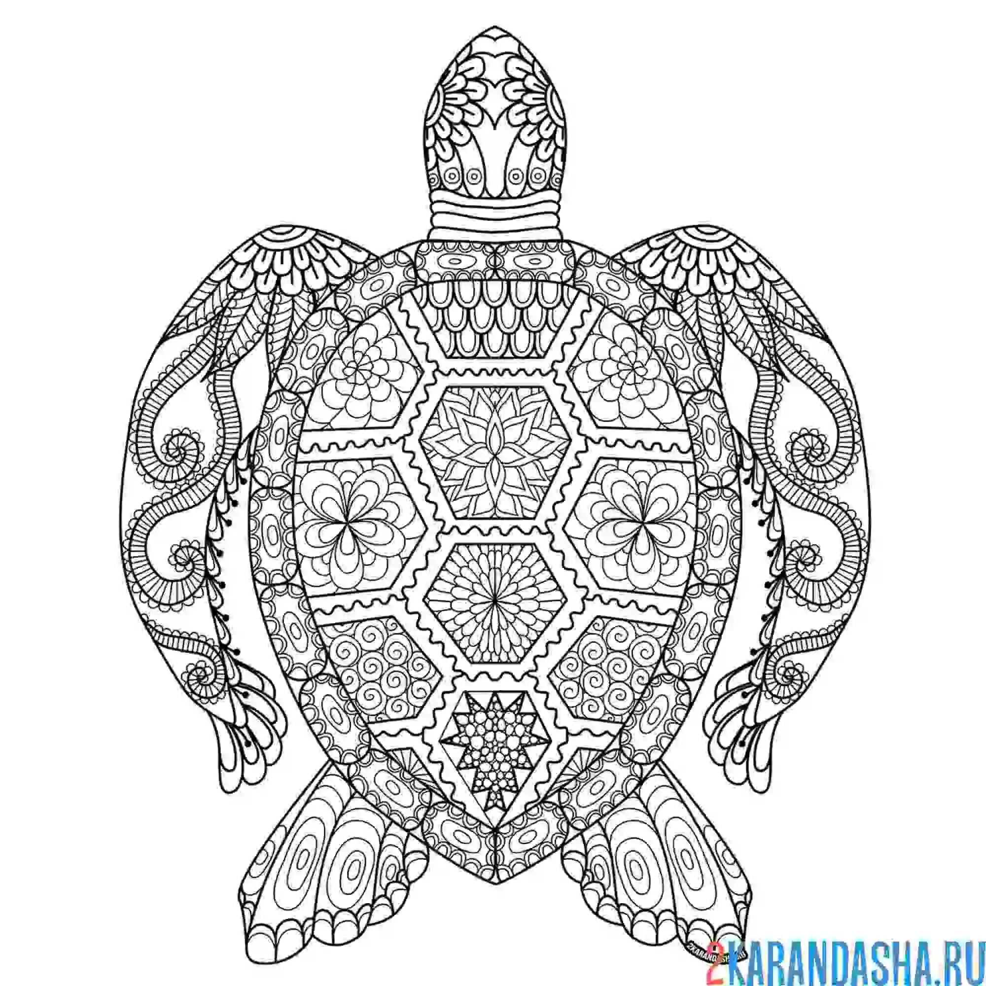 Раскраска черепашка узоры