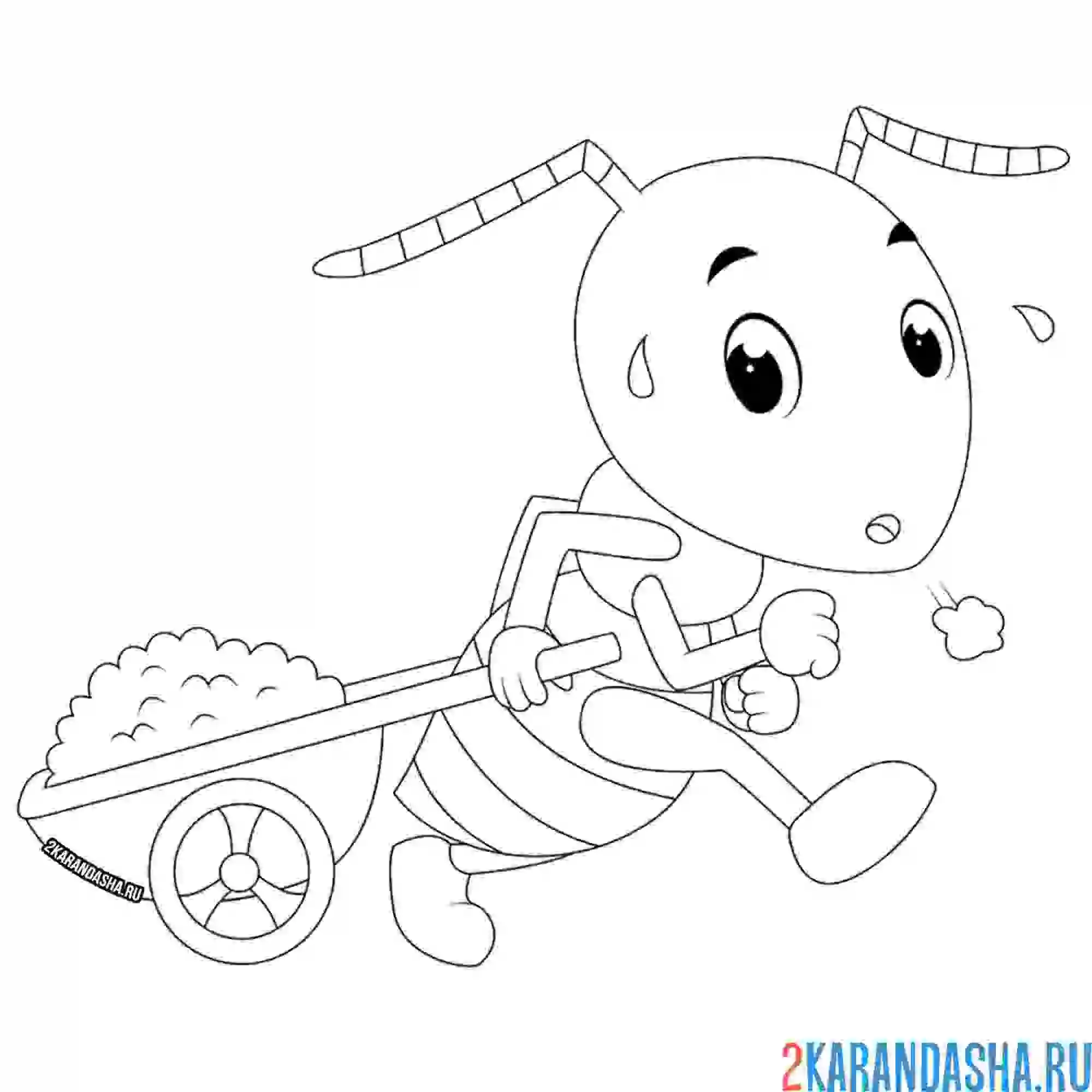 Раскраска трудяга муравей