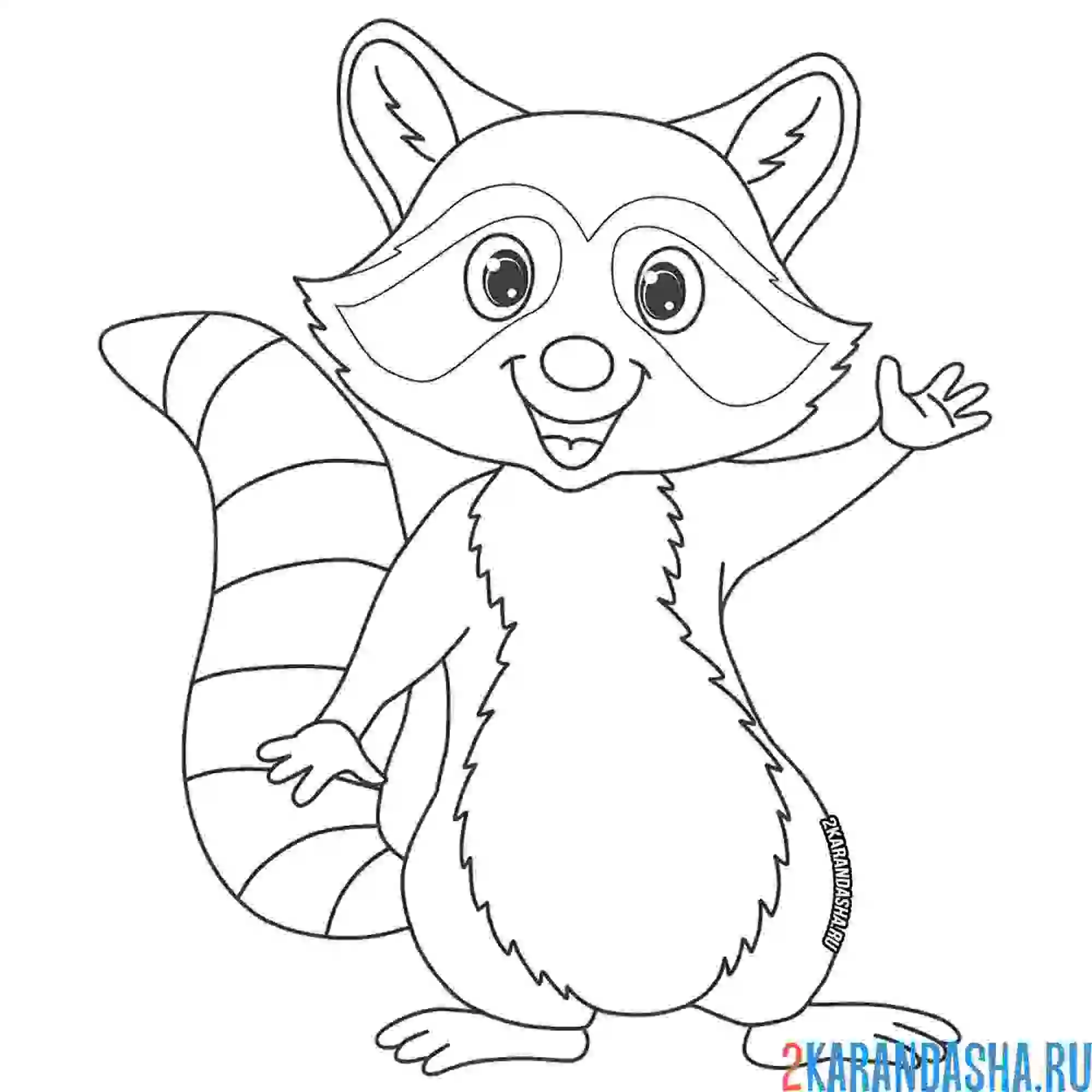 Раскраска енот машет лапкой